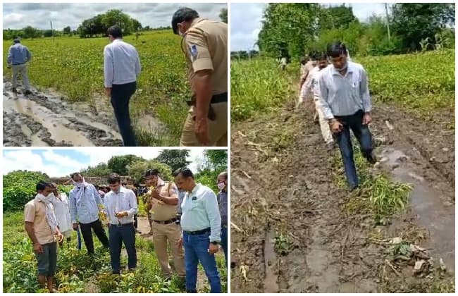फसलों को देखने कीचड़ से सने रास्ते पर 2 KM पैदल चल कर खेतों मे पहुंचे कलेक्टर