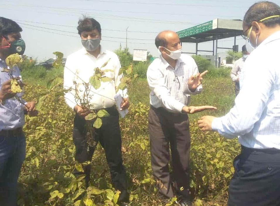 केंद्रीय दल ने फसल क्षति का किया आंकलन ,किसानों की मदद का दिया आश्वासन