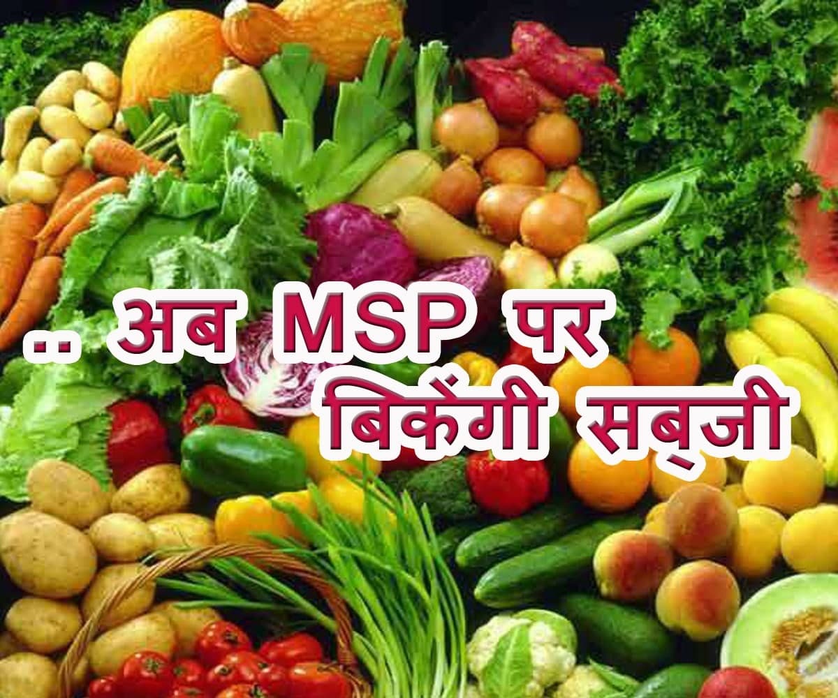 अच्छी खबर – सब्जियों का भी होगा समर्थन मूल्य, नुकसान हुआ तो सरकार खरीदेगी  