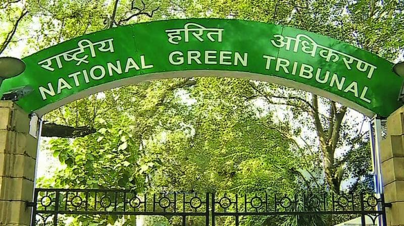 बक्सवाहा में जंगल काटने पर NGT ने रोक लगाई, खनन कंपनी और पक्षकारों को शपथ पत्र देने के आदेश