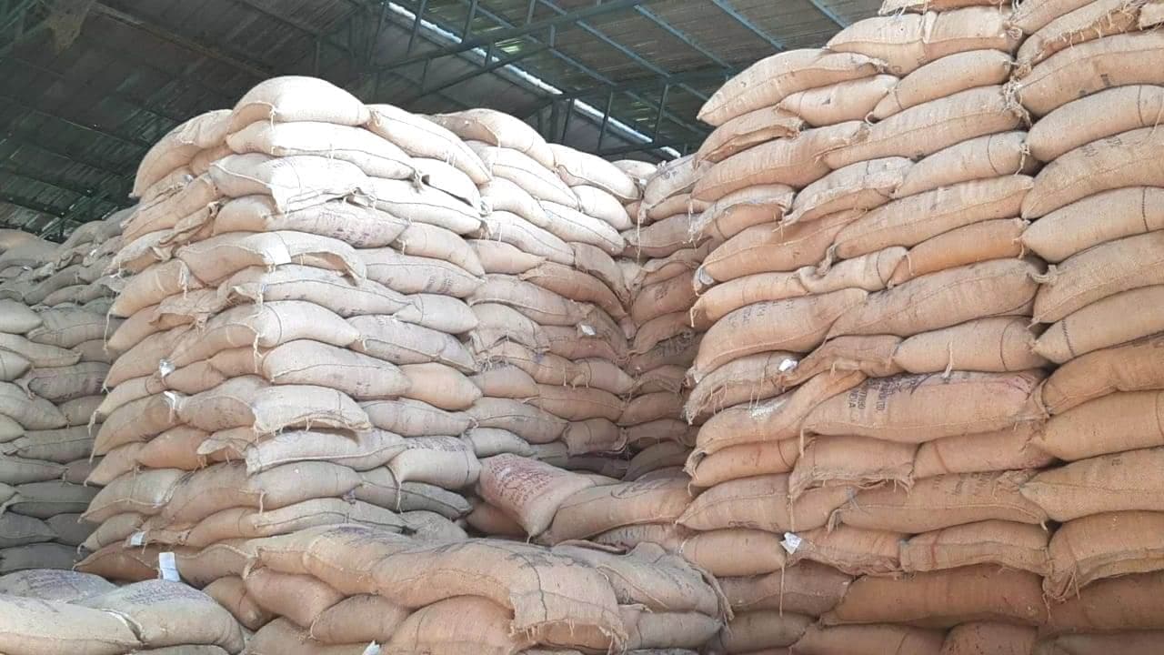 घटिया चावल मामला: ईओडब्ल्यु ने नॉन अधिकारियों और मिलर्स पर दर्ज किया धोखाधड़ी का मामला