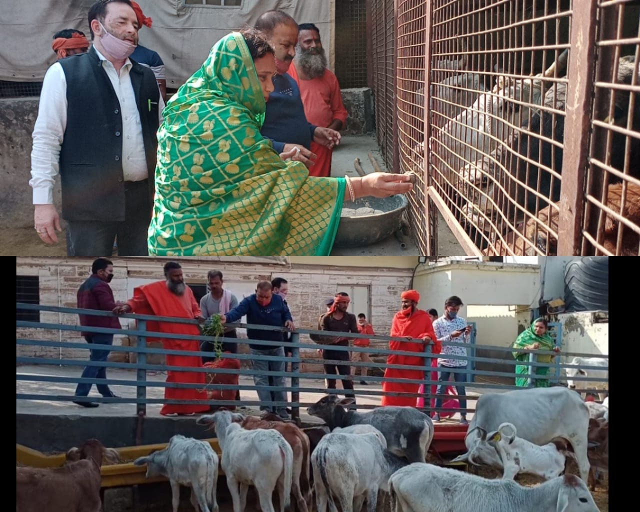 शादी की वर्षगांठ पर विधायक की पहल, पहला मानदेय गौमाता की सेवा में