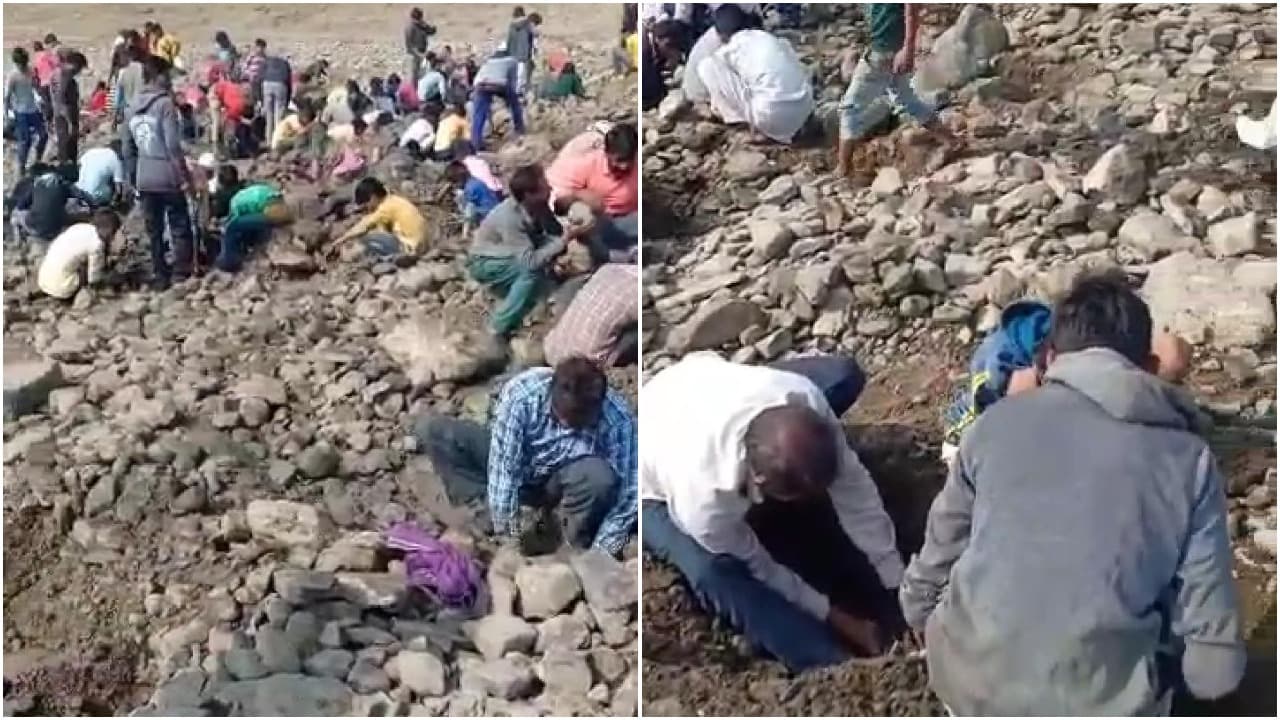 Rajgarh : सोने के सिक्के की ऐसी उड़ी अफवाह, नदी की खुदाई में जुट गया पूरा गांव