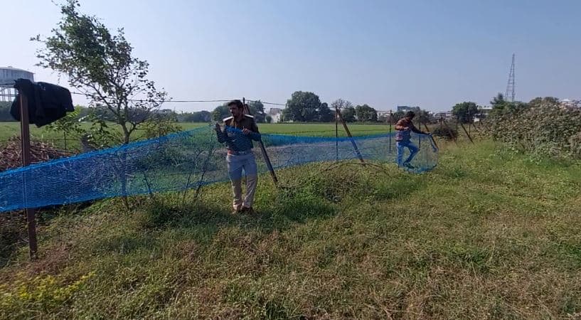 पानी की तलाश में खेत में आ पहुंचा सांभर का बच्चा, रेस्क्यू में जुटी वन विभाग की टीम