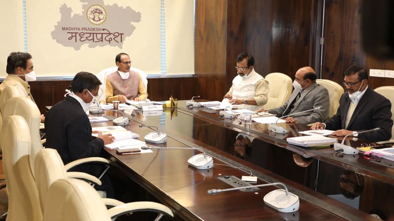 मध्यप्रदेश अब तेंदुआ स्टेट भी, साढ़े तीन हजार है संख्या, बैठक में सीएम ने दी बधाई