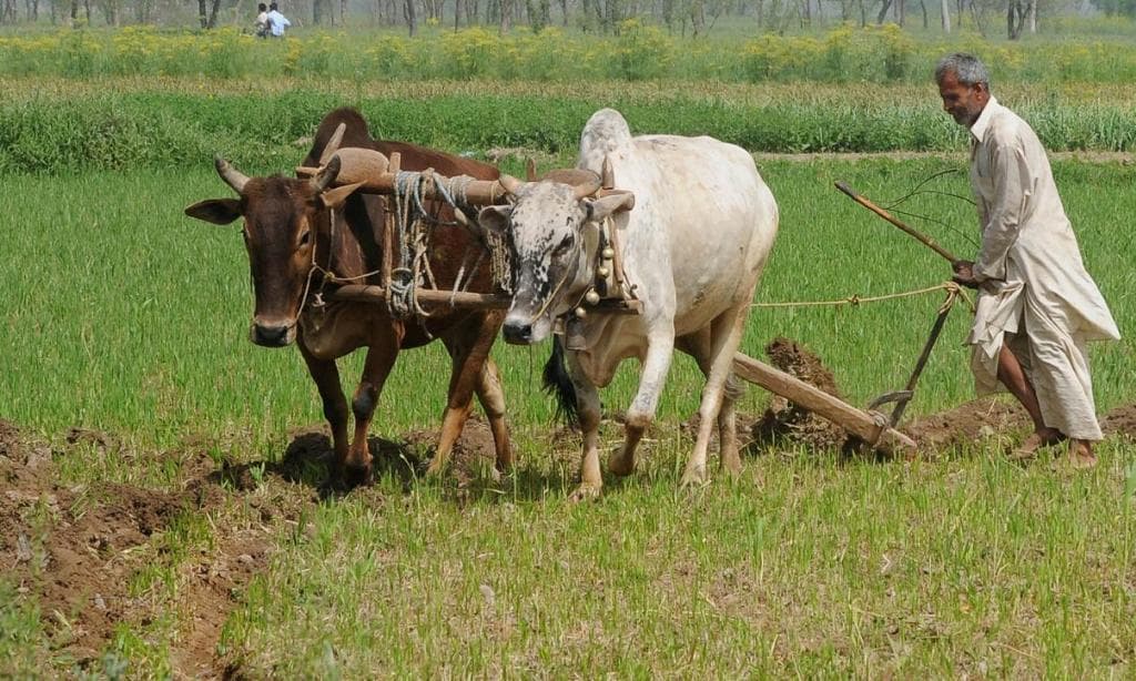‘कागज’ फिल्म की तरह खुद को जिंदा साबित करने भटक रहा एमपी का एक किसान