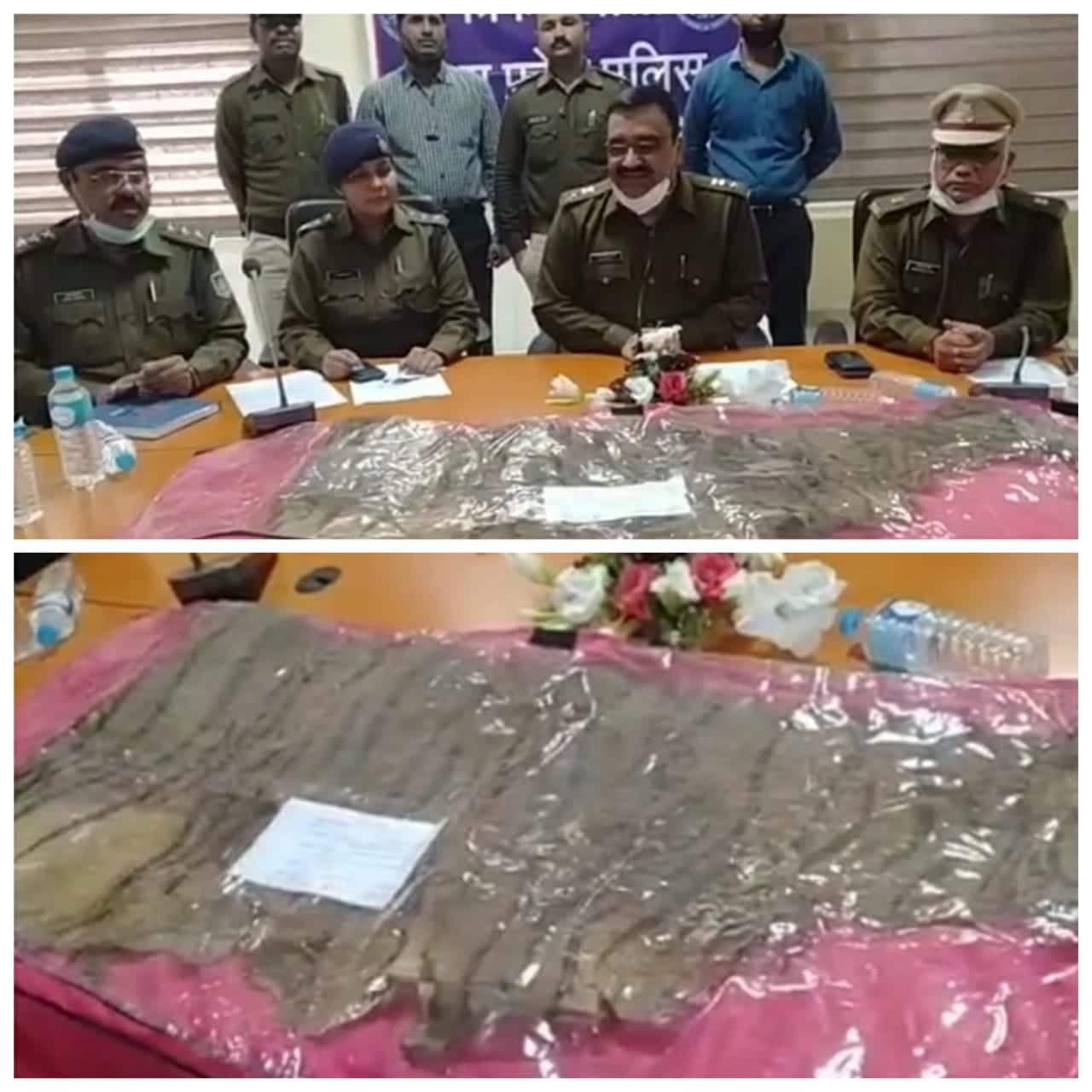 टाइगर की खाल की तस्करी के मामले में दो गिरफ्तार, करोड़ों की खाल बरामद
