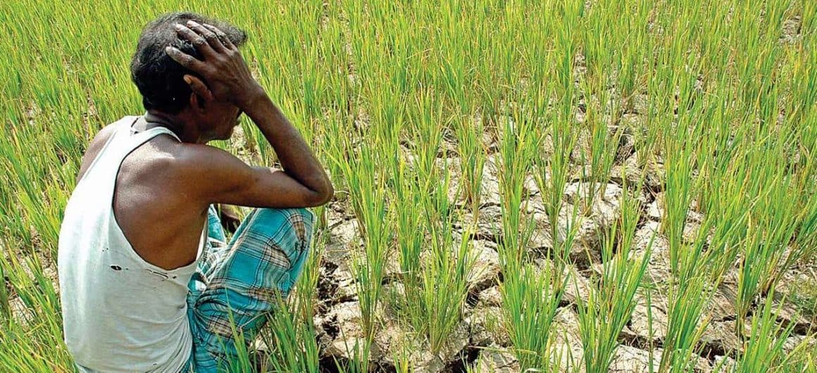 MP News : बारिश-ओलावृष्टि से फसलें चौपट, किसानों को लेकर BJP सांसद का बड़ा ऐलान
