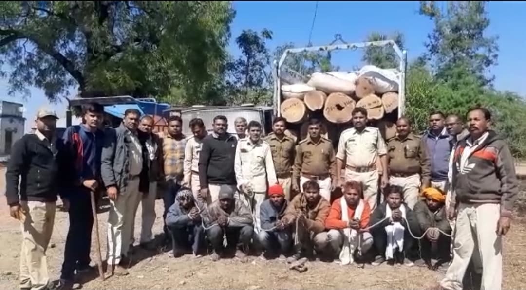 वन विभाग को बड़ी कामयाबी, अवैध सागौन के साथ 7 आरोपियों को पकड़ा