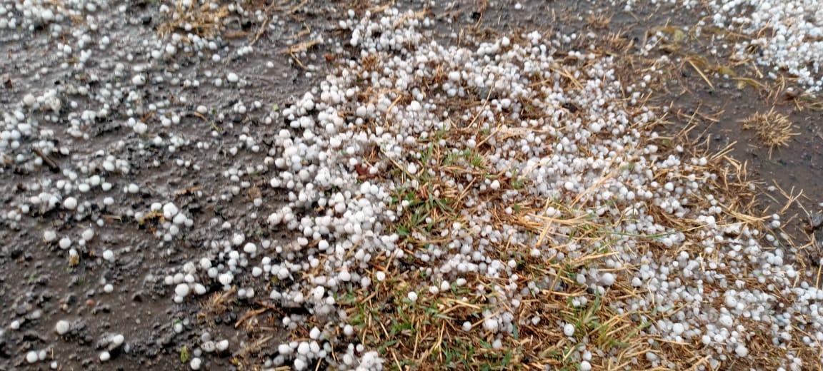 MP Weather Alert: मप्र में बारिश-ओलेवृष्टि का दौर शुरु, इन जिलों में ऑरेंज अलर्ट