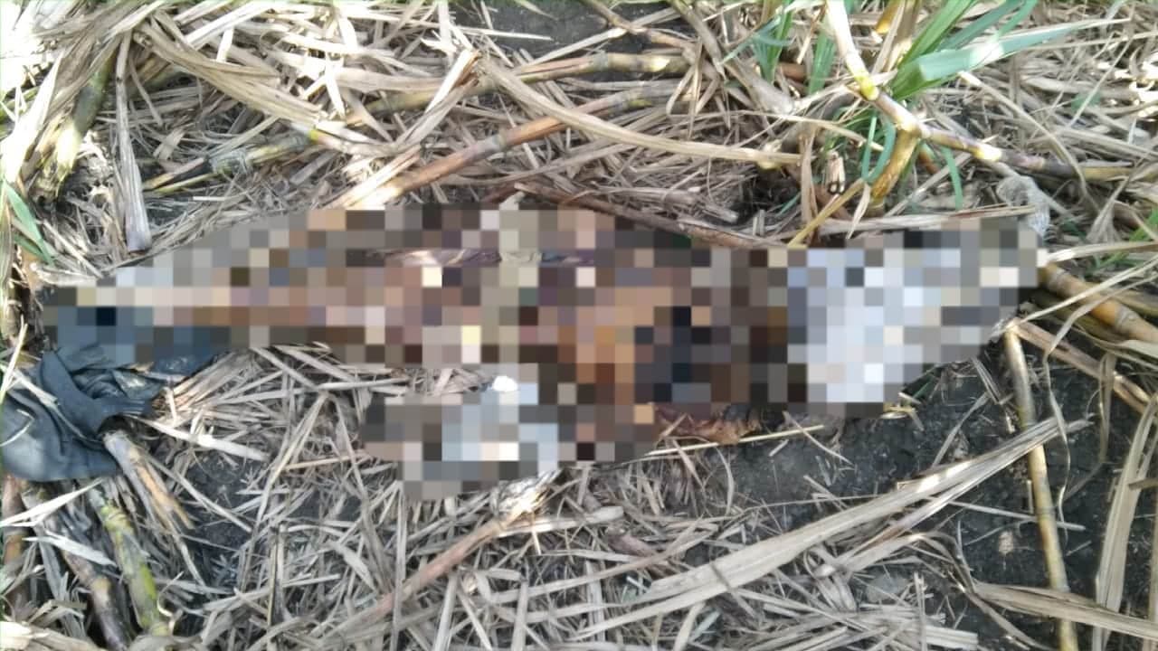चार माह से लापता बुजुर्ग का खेत में मिला कंकाल, मृतक के बेटे ने पुलिस पर लगाया लापरवाही का आरोप