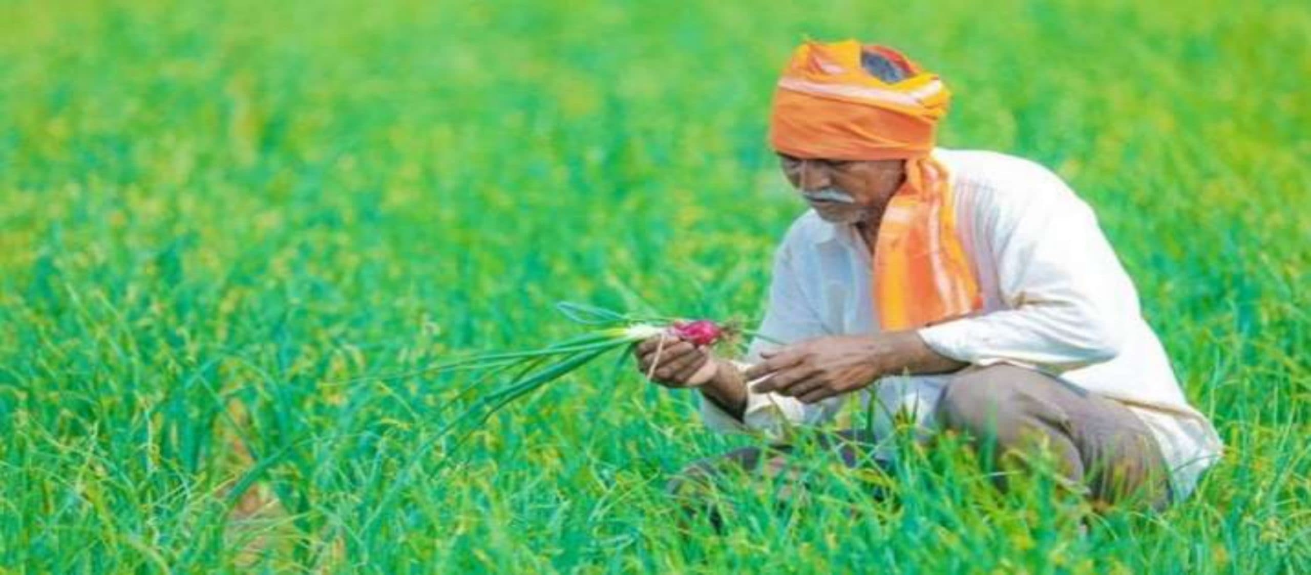 PM Kisan : आज से किसानों को मिलेगा बड़ा लाभ, तैयारियां पूरी