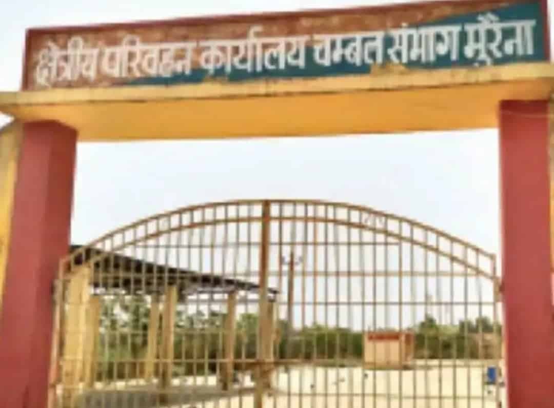 मुरैना: क्षेत्रीय परिवहन कार्यलय में अनिश्चितकालीन हड़ताल, लाइसेन्स बनवाने वाले लौटे वापस
