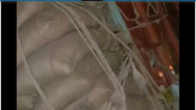 Road Accident: ट्रक ने बाइक सवारों को मारी टक्कर, मौके पर तीनों की मौत, चालक फरार