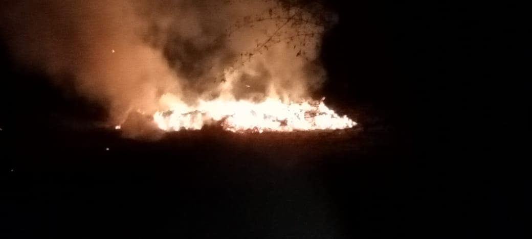 बालाघाट में एक बार फिर नक्सलियों ने तेंदूपत्ता फड़ को लगाई आग, 59 बोरी तेंदूपत्ता खाक