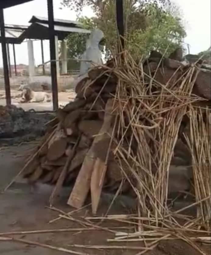 कोरोना काल : 17 वर्षीय बेटी ने दी पिता को मुखाग्नि, निगमकर्मी भी हो गए भावुक