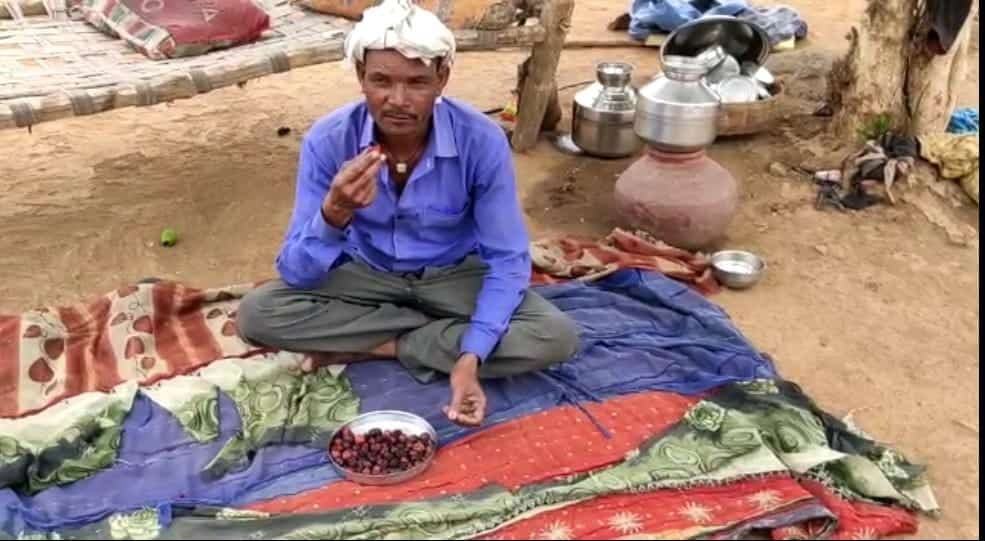 टीकमगढ़: सिस्टम की खुली पोल, राशन कार्ड होने के बावजूद बेर और नमक खाने को मजबूर गरीब परिवार
