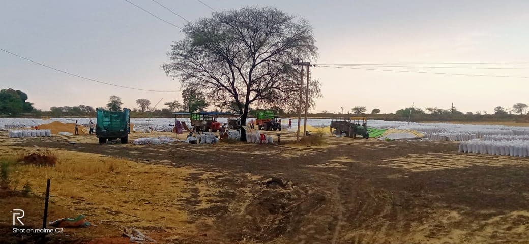 समय पर नहीं हुआ उठाव, खुले में रखा गेहूं बारिश से भीगा, नोटिस जारी