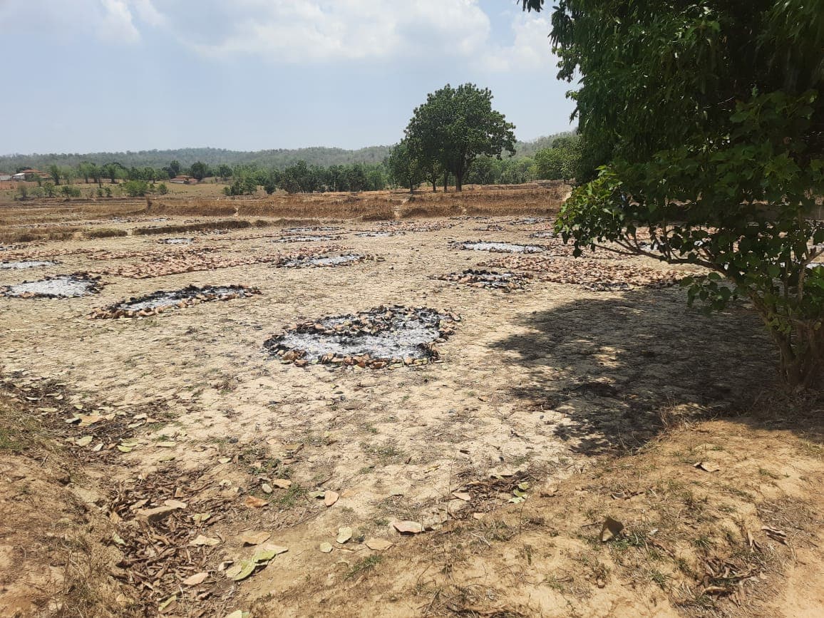 बालाघाट: एक बार फिर नक्सलियों ने तेंदूपत्ता फड़ को लगाई आग, जांच में जुटी पुलिस