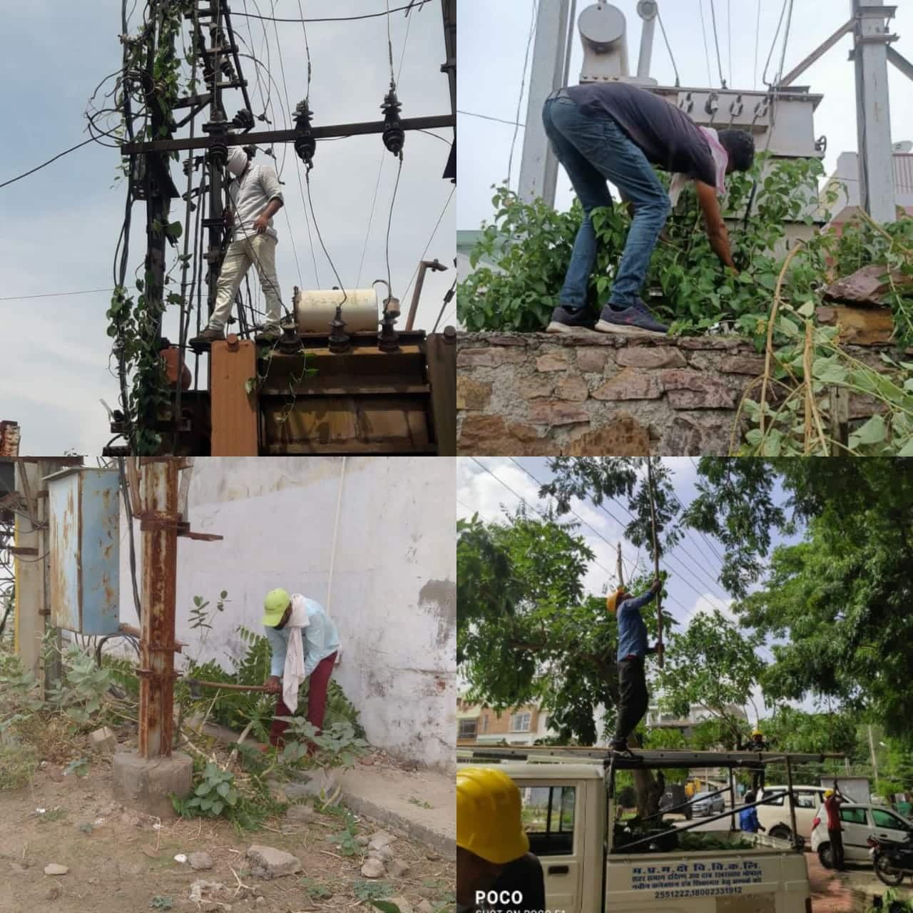 ऊर्जा मंत्री के खंबे पर चढ़ने का असर, कर्मचारी हटा रहे घोंसले, झाड़ियां, अफसर मैदान में