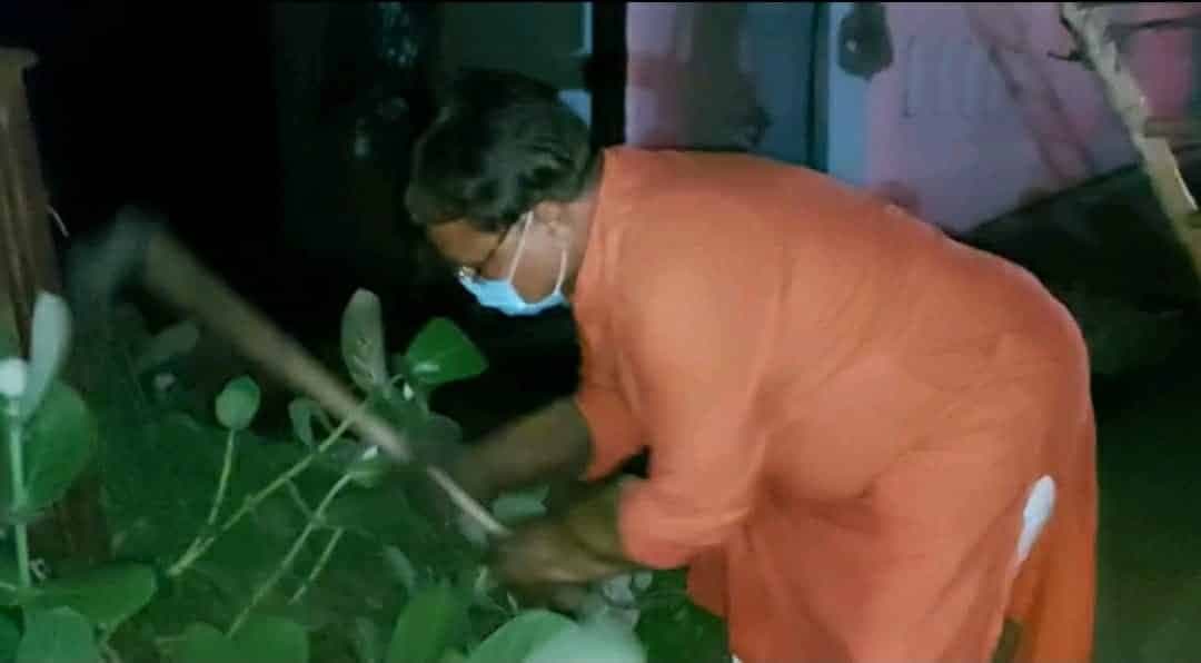 Indore News :  एक्शन मोड में ऊर्जा मंत्री, इसलिए हाथ में उठाई कुल्हाड़ी