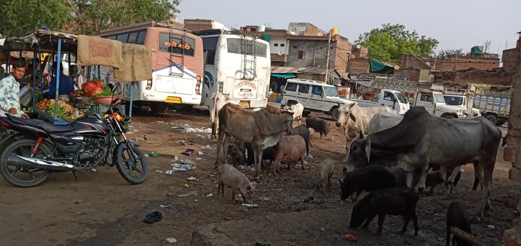ग्रीन इंडिया क्लीन इंडिया को लेकर लापरवाह अफसर, जगह जगह लगे गंदगी के ढेर