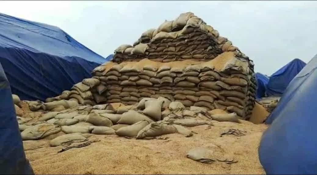 अनाज भण्डारण व्यवस्था को लेकर हाईकोर्ट हुआ सख्त, केंद्र और राज्य सरकार को नोटिस