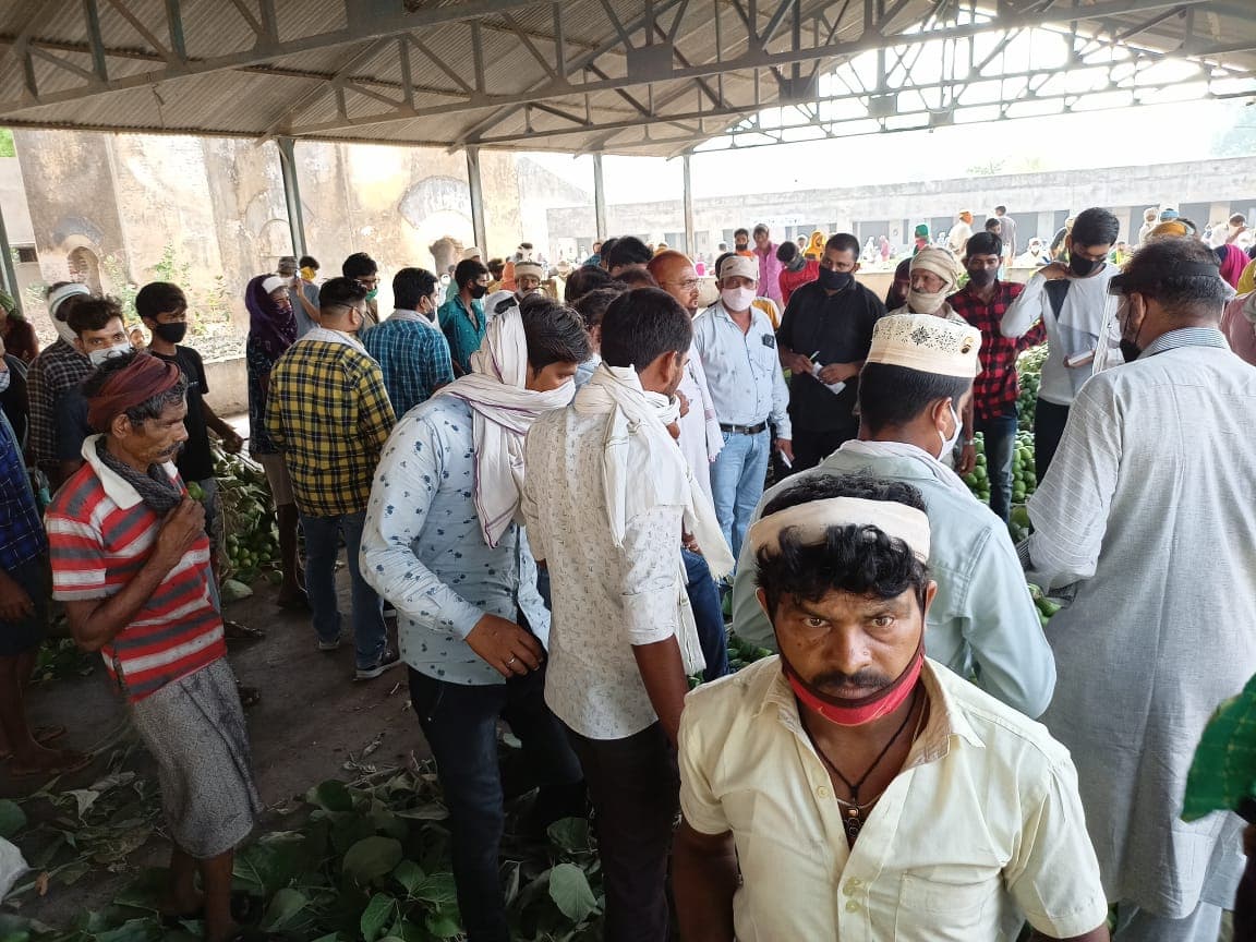 अलीराजपुर : न मास्क न सोशल डिस्टेंसिंग, प्रदेश की सबसे बड़ी आम मंडी में उड़ी कोरोना नियमों की धज्जियां