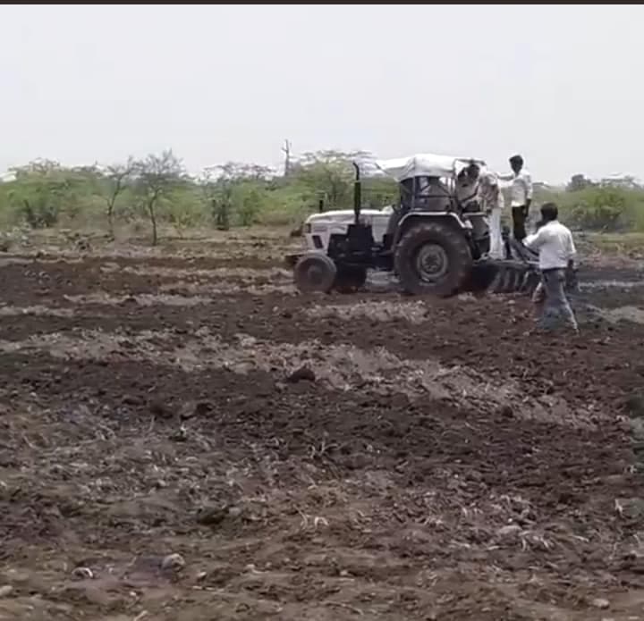 Rajgarh : सरकारी जमीन पर उगा रहे थे फसल, नायब तहसीलदार ने खुद ट्रैक्टर चलाकर उजाड़ी