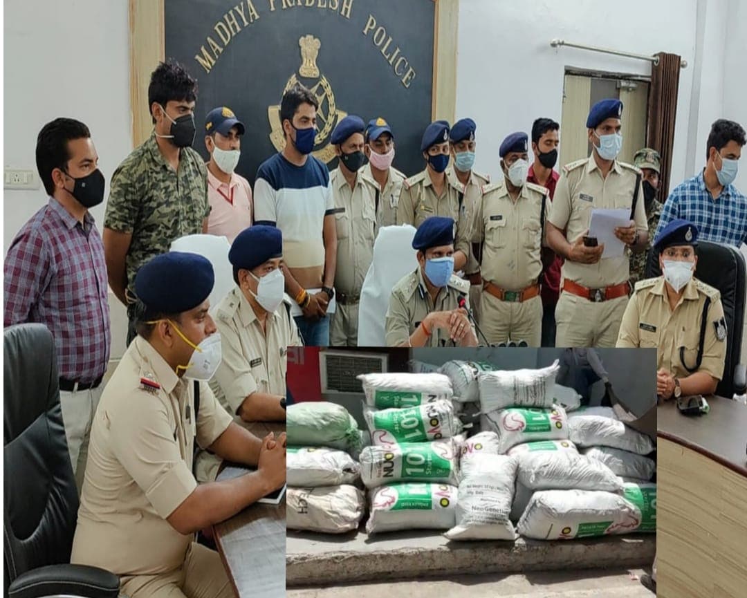 मुरैना पुलिस की कार्रवाई, 3 करोड़ के गांजे के साथ 2 आरोपियों को किया गिरफ्तार