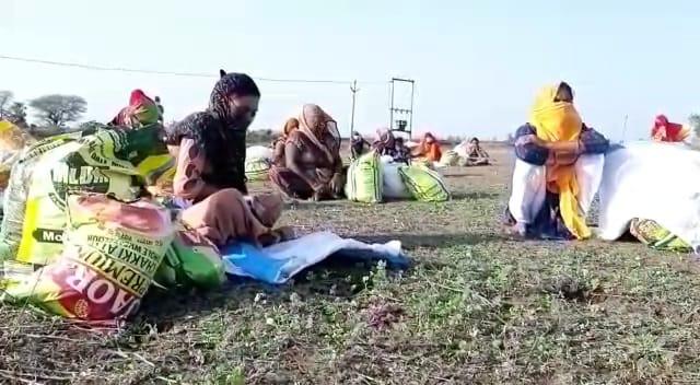 कोरोना काल में जिला जज का मानवीय चेहरा आया सामने, बांछड़ा समुदाय के 25 परिवारों को बांटा 2 माह का राशन