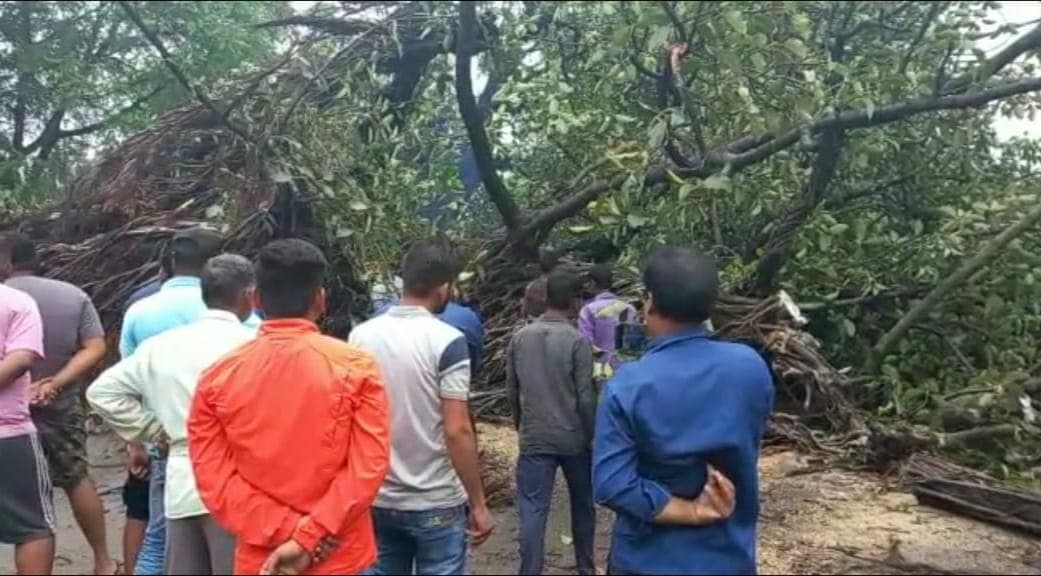 Jabalpur News : वर्षों पुराना बरगद का पेड़ गिरा, कई लोग दबे, 2 की हालत नाजुक