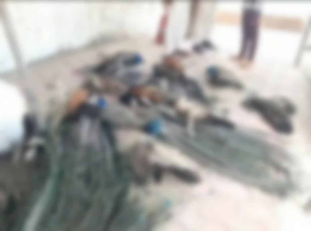 राष्ट्रीय पक्षी मोर के 15 शव पहाड़ी पर मिले, जहरीला दाना खिलाने की आशंका