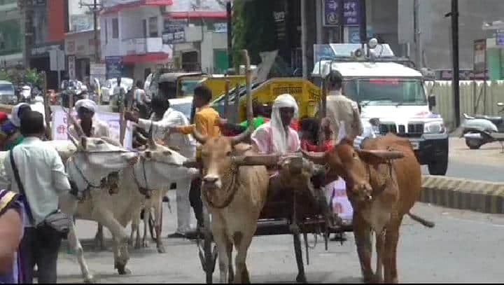 Chhindwara : महंगाई के खिलाफ महिला कांग्रेस द्वारा बैलगाड़ी रैली निकालकर किया प्रदर्शन, SDM को सौंपा ज्ञापन