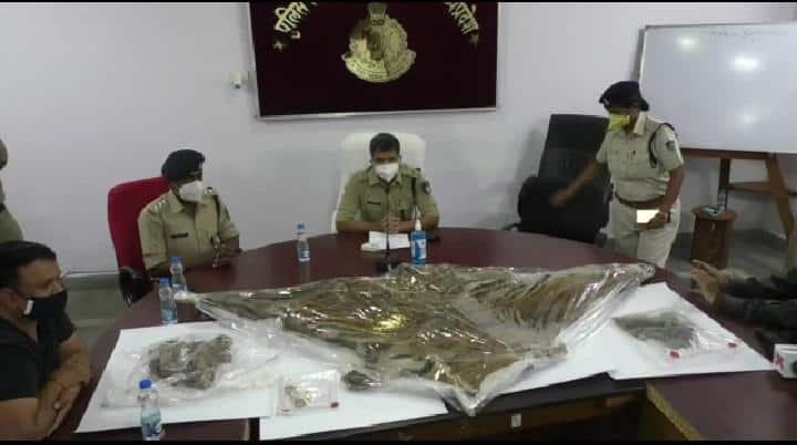 Chhindwara : बाघ की खाल के साथ पकड़ाए तीन युवक, 2 फरार