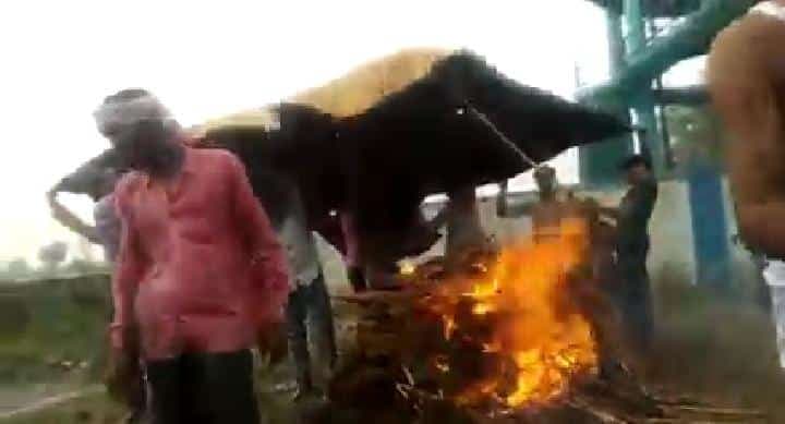 मुरैना : मुक्तिधाम में अव्यवस्थाओं से परेशान ग्रामीण, भरी बारिश में त्रिपाल लगा कर रहे अंतिम संस्कार !