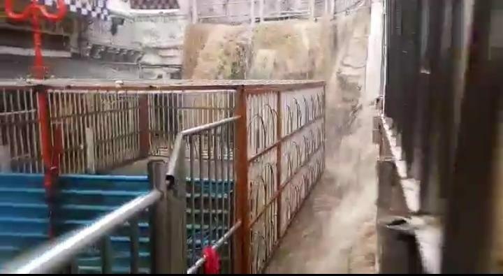 VIDEO: लगातार हो रही बारिश से बढ़ी मंदिर की सुंदरता, तीव्र जलधारा से जटाशंकर धाम रमणीय