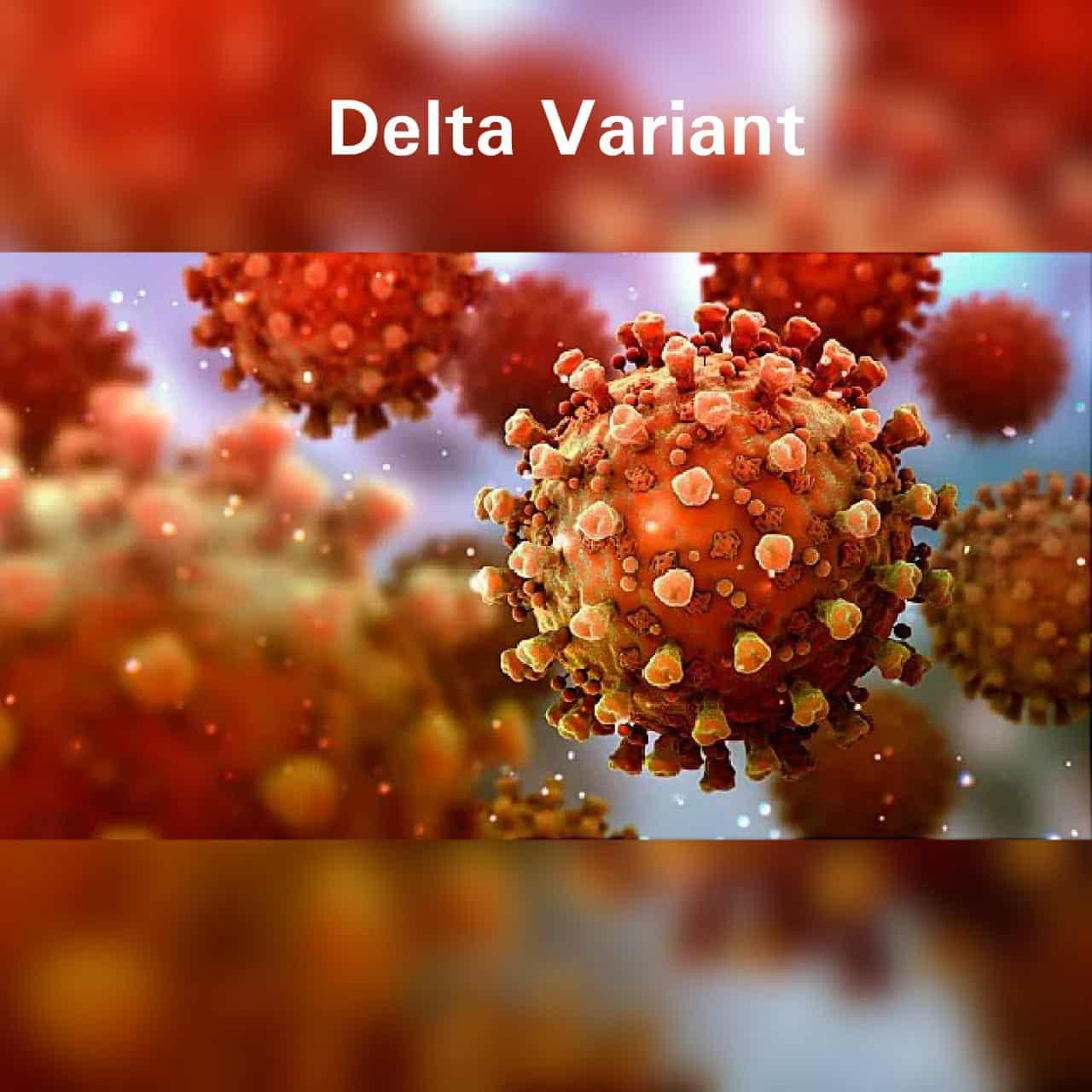 राजगढ़ में मिले डेल्टा वेरिएंट के 4 मरीज, बढ़ती भीड़ से मंडराने लगा कोरोना खतरा