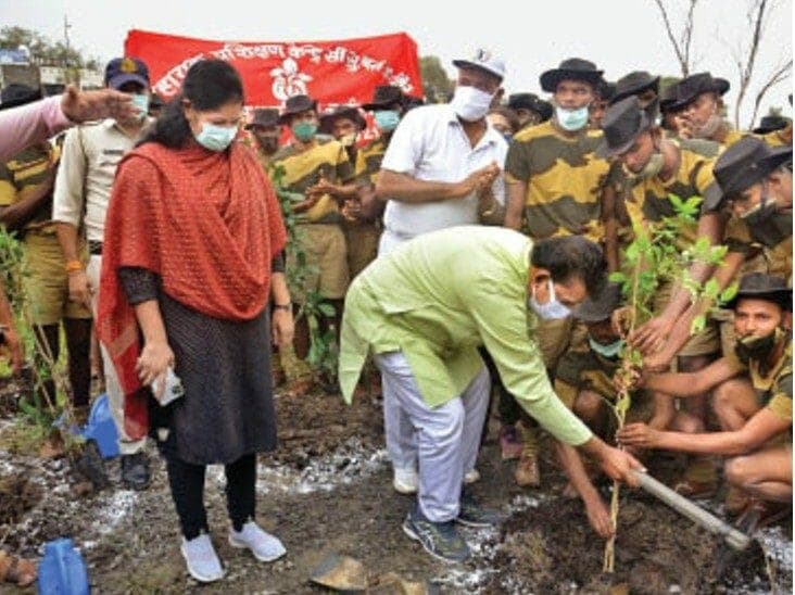 2 लाख पौधों से सुधरेगी इंदौर की पर्यावरण व्यवस्था, हवा की गुणवत्ता बेहतर बनाने के लिये चलाया जा रहा है अभियान