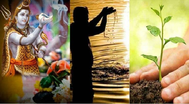 Hariyali Amavasya 2021: आज मनाई जा रही है हरियाली अमावस्या, जाने क्या हैं इस पर्व के महत्त्व