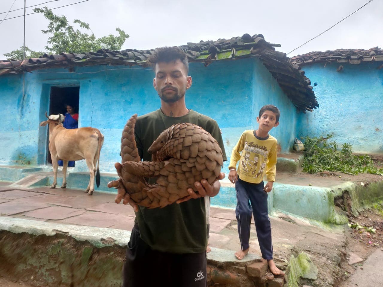Jabalpur news: बस्ती में घुसा पेंगोलिन, गांव में दहशत का माहौल, वन विभाग को सौंपा जानवर