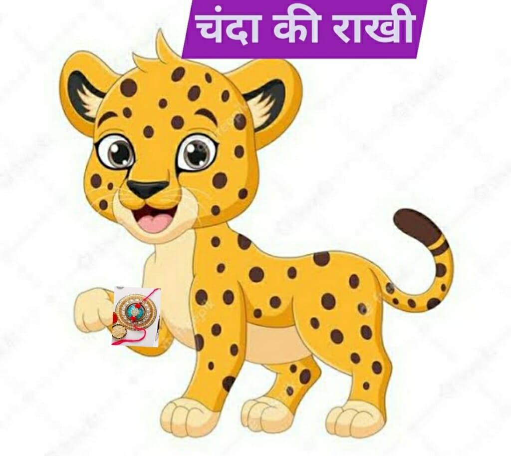 इस रक्षाबंधन पर बांधिये “चंदा की राखी”, वन विभाग की अनूठी पहल