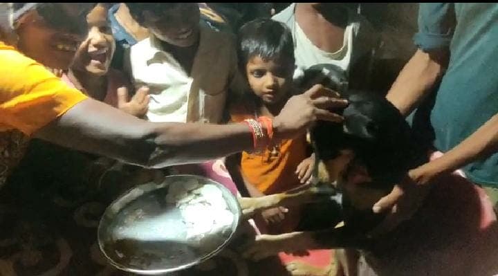 केक कट कर डीजे की धुन पर जमकर थिरके लोग, यूं मनाया डॉगी पप्पो का बर्थडे