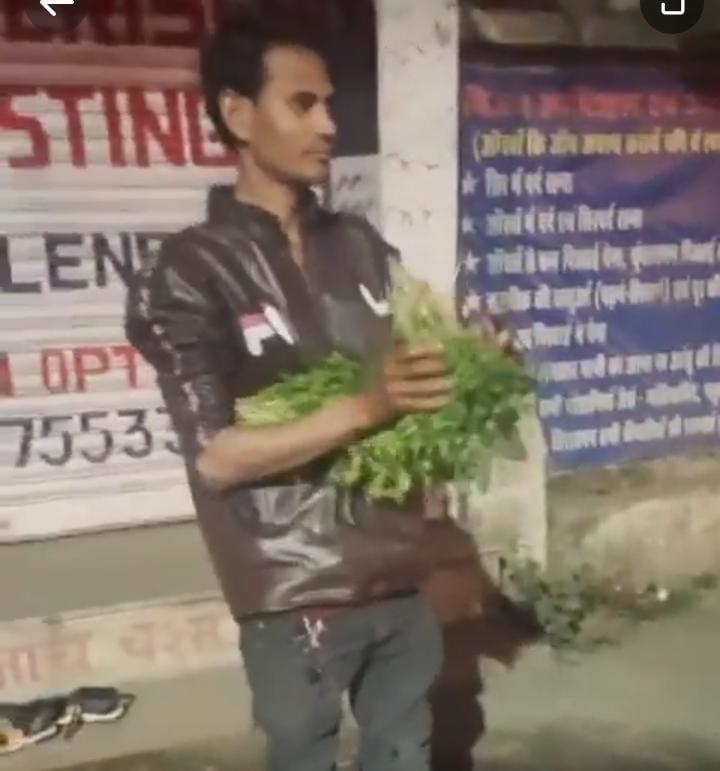 Bhopal News: गटर के पानी से धुलकर आपके किचन तक पहुंच रही सब्जी! कलेक्टर ने दिए जांच के आदेश