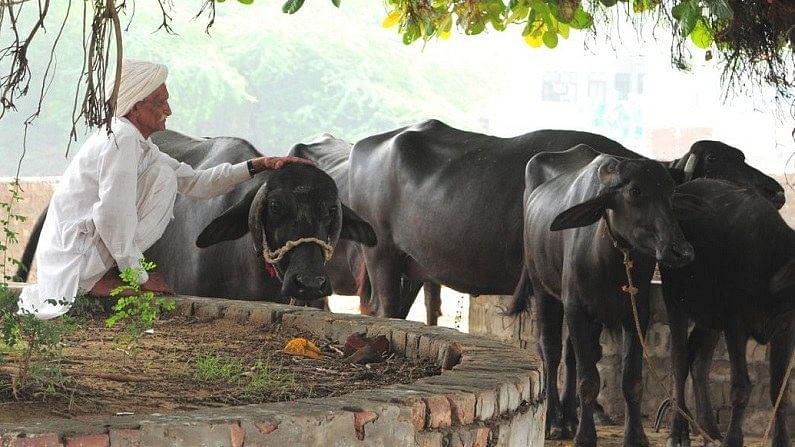 किसानों के लिए अच्छी खबर, रोज ट्रांसफर हो रहे 3.50 करोड़, ऐसे उठा सकते है लाभ