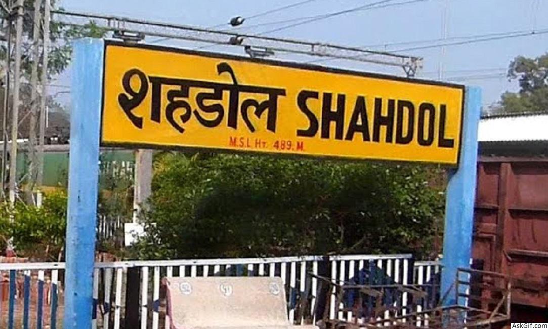 जब सिक्कों से  भरा बोरा लेकर जा पहुंचा युवक स्कूटी के शोरूम