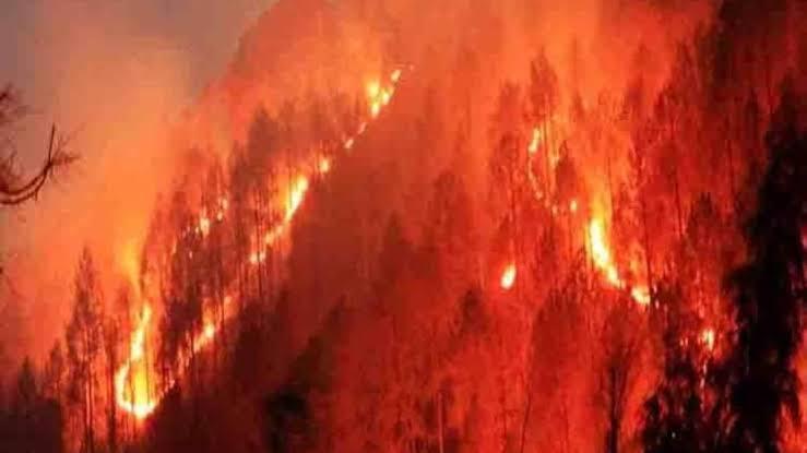 Jabalpur news: टायर की दुकान में आग लगने से लाखों का माल खाक