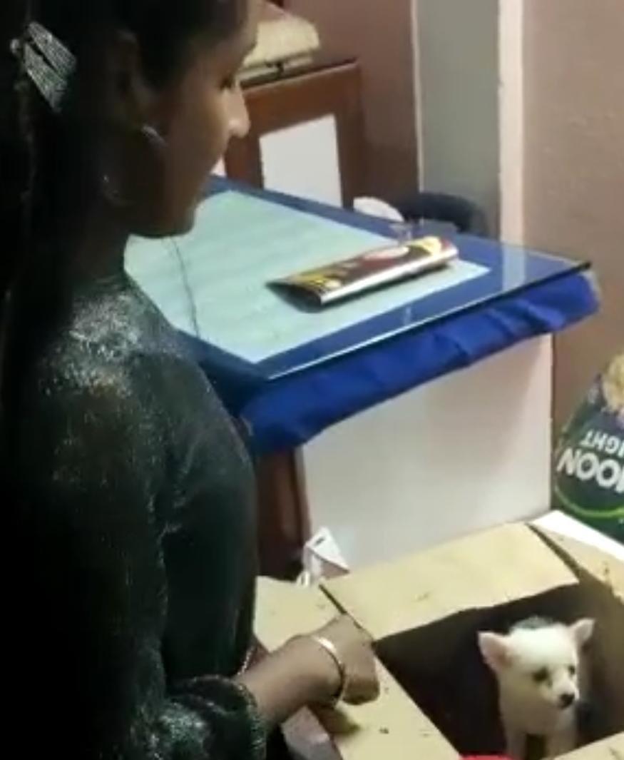 बच्ची को जन्मदिन पर मिला ऐसा तोहफा, पूरे परिवार की आंखे हो गई नम
