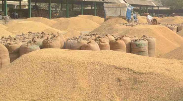 Jabalpur news: बेमौसम बारिश से किसानों पर पड़ी धान खराब होने और मंडियां बंद होने की दोहरी मार