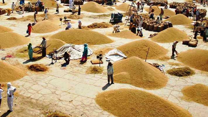 Mandi bhav: आलू और लहसुन मे दिखी नरमी तो प्याज हुआ मजबूत, जानें 8 फरवरी 2022 के Today’s Mandi